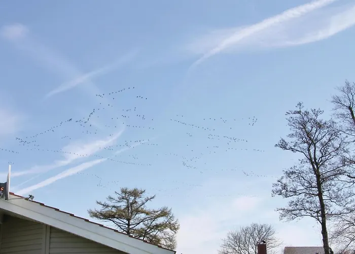 Dom wakacyjny Strandpark 21 Schönhagen
